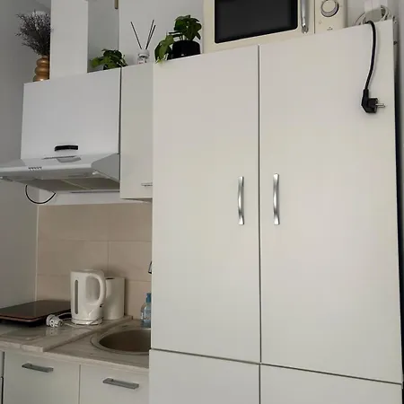 Ylka Victoriei Downtown Apartament