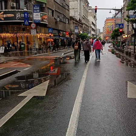 Ylka Victoriei Downtown Апартаменты Бухарест